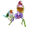 Swarovski figurer Idyllia SCS Annual Edition 2024 Gouldian Finches - 5670031