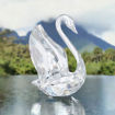 Swarovski figur Signum Swan, Medium - 5613255