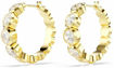 Swarovski øredobber Imber hoop earrings Round cut, White, Gold-tone plated - 5711483