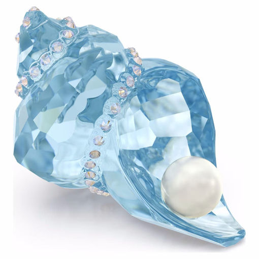 Swarovski figurer Idyllia SCS Conch Shell and Pearl - 5690545